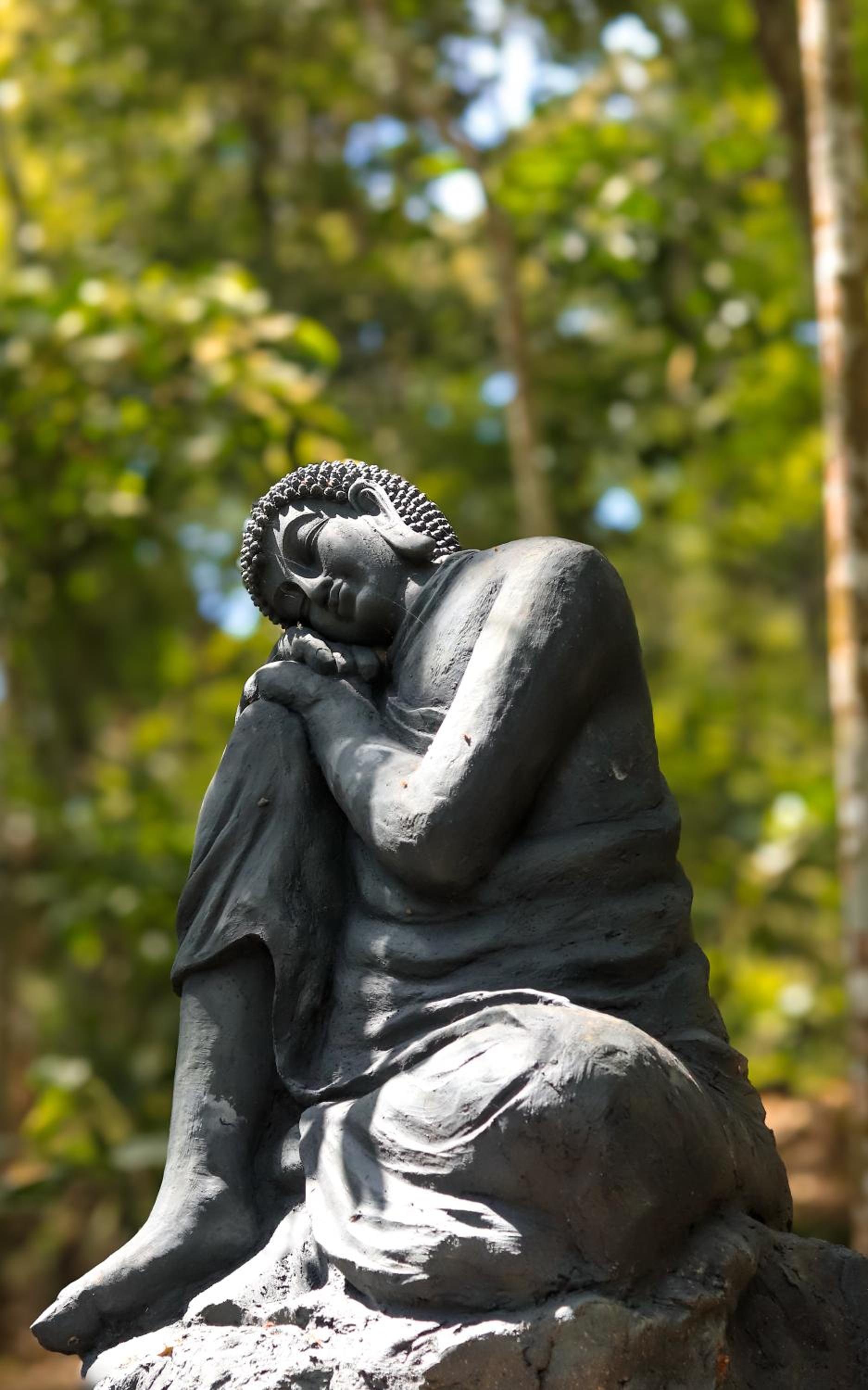 PANCHAVADI FARM STAY