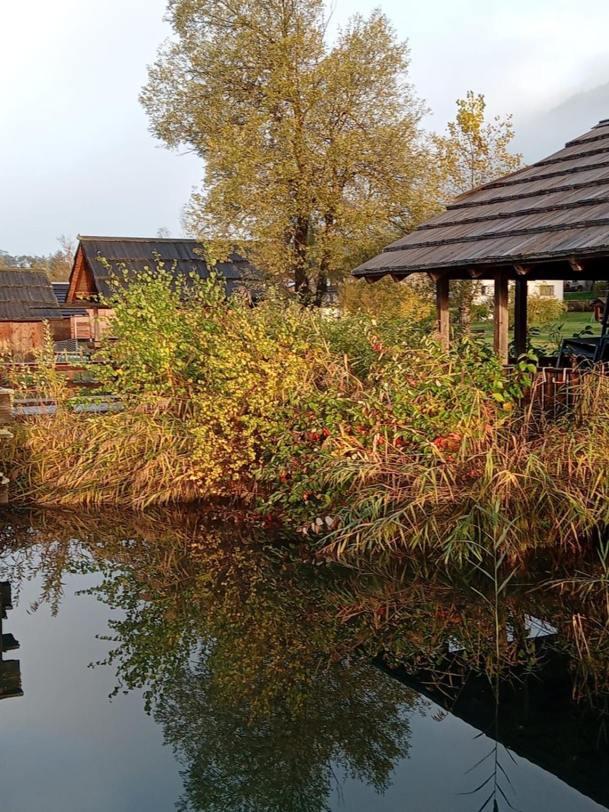 Garten Seeapartments Kärntnerhof Hundefreundlich