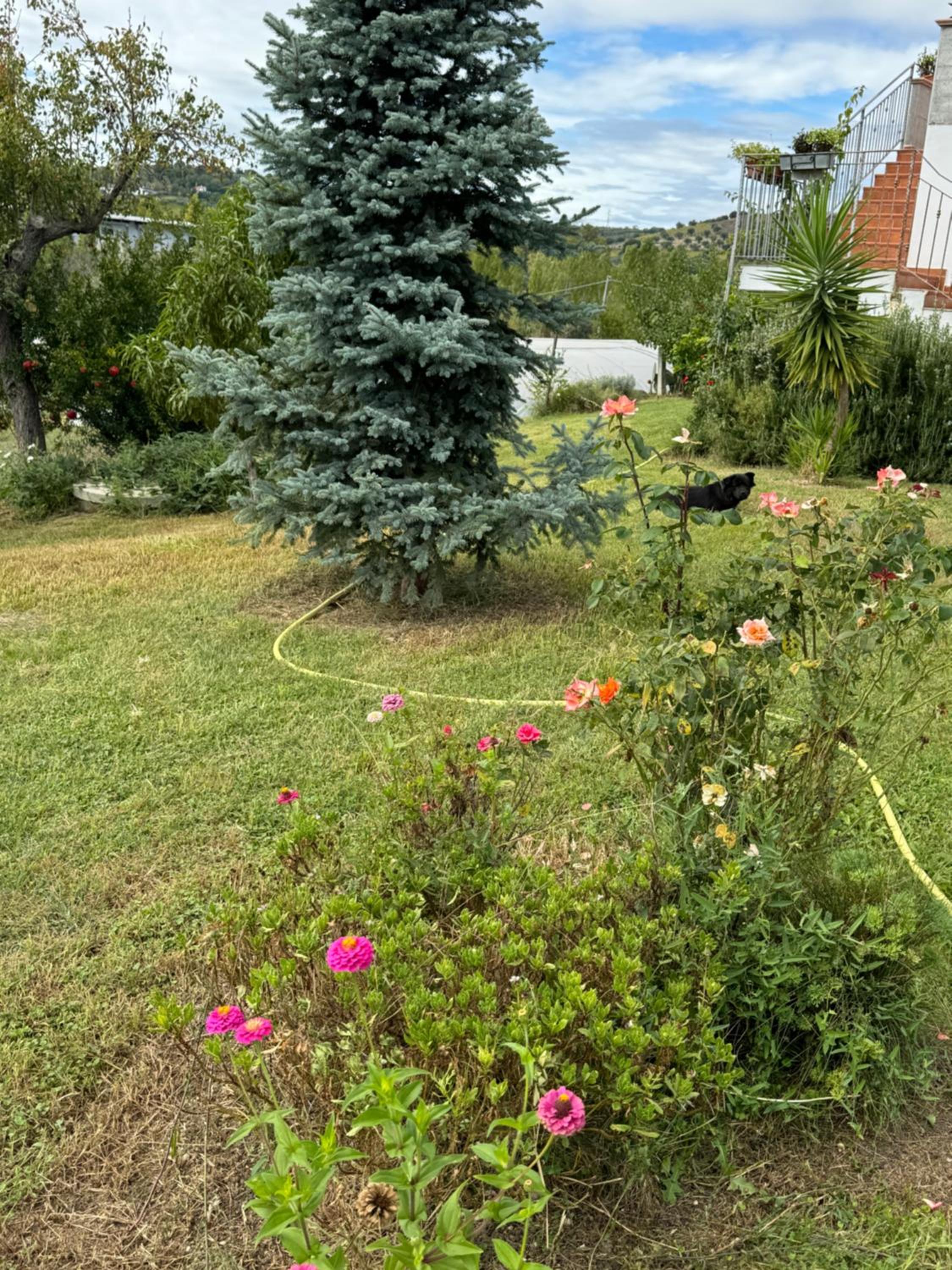 Photo 34