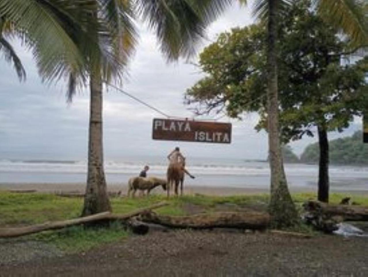 Blue Zone Cozy Cabaña Peaceful Getaway