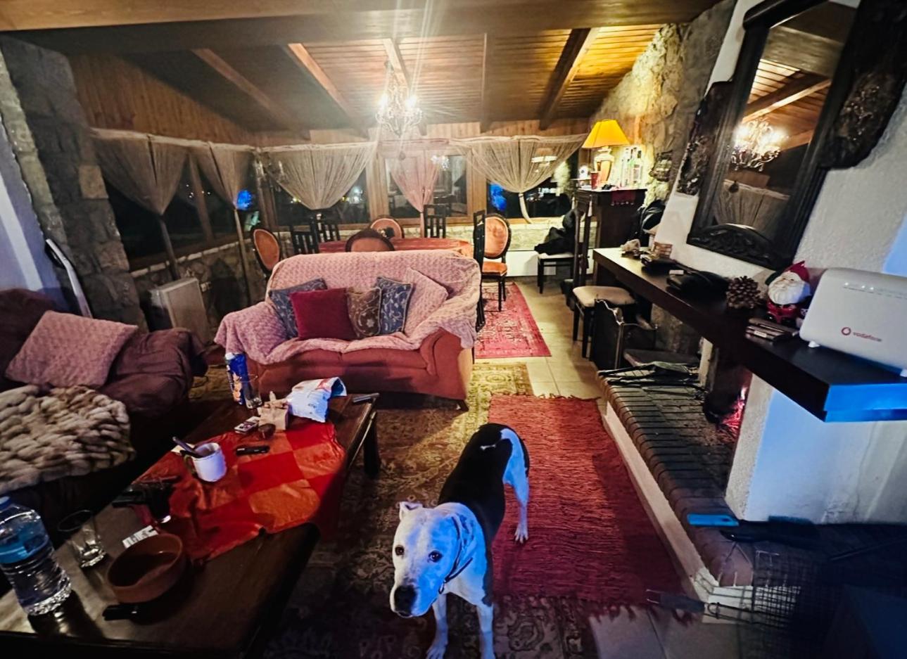 CHALET MARIA livadi