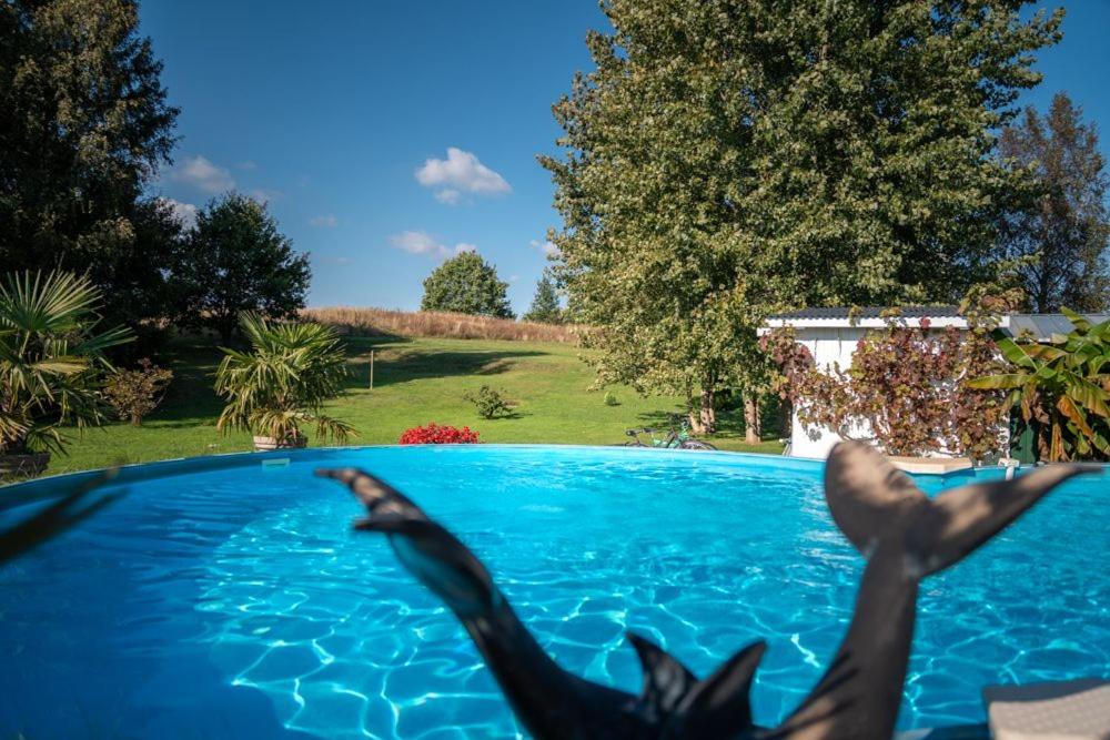 Ferienwohnung Hügelblick