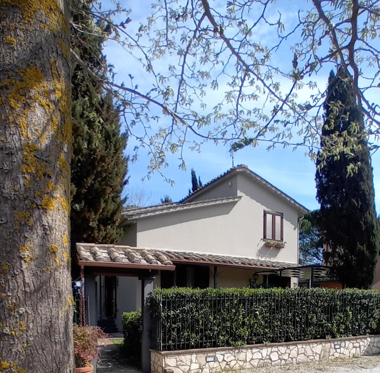 I Gelsi di Colombata Locazione turistica breve in campagna