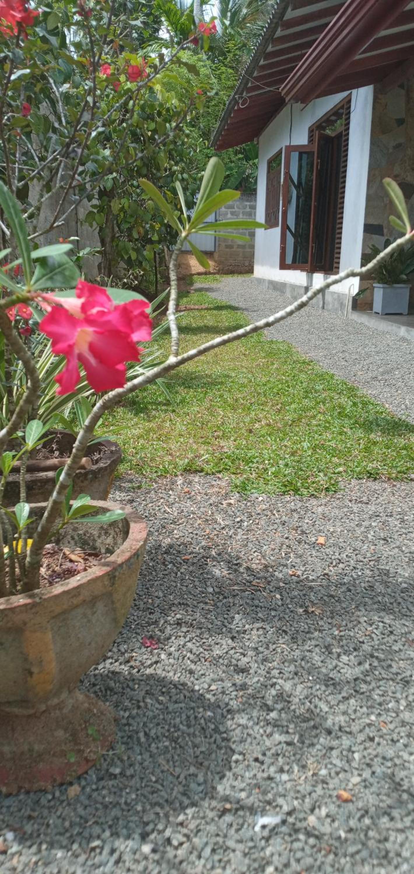 HIKKA LAK RAN VILLA