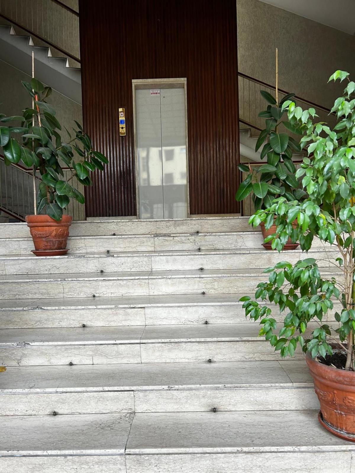BAM BAM TIBURTINA Guesthouse