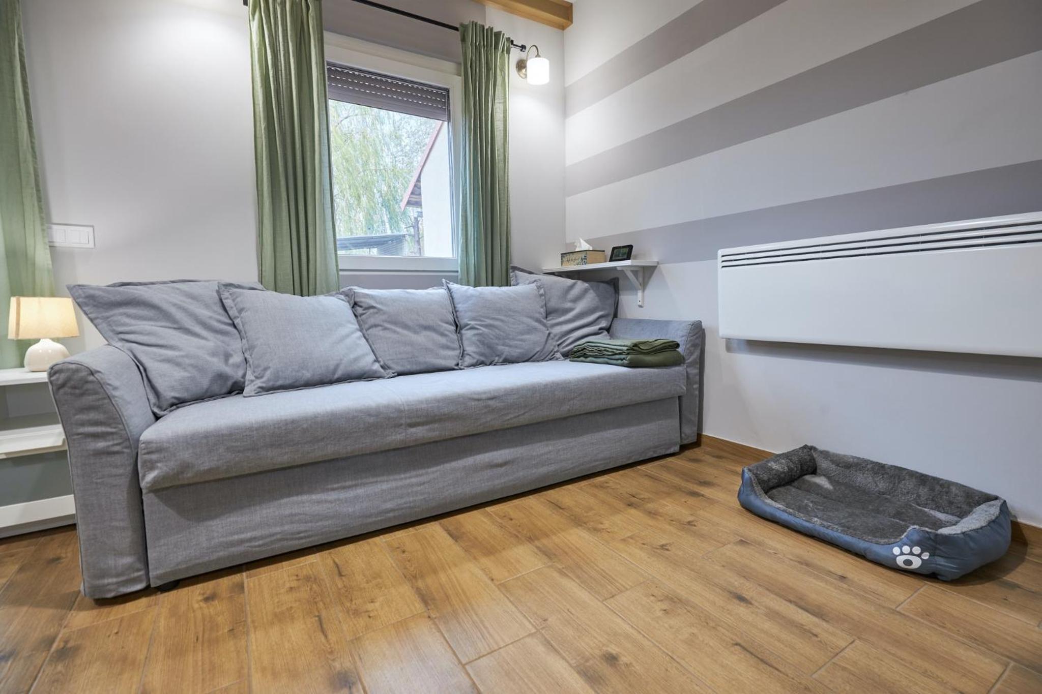Bodza apartman 2 - Sarud view 4