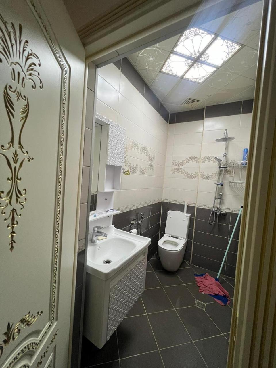 Luxury Apartment and Guesthouse for COP29