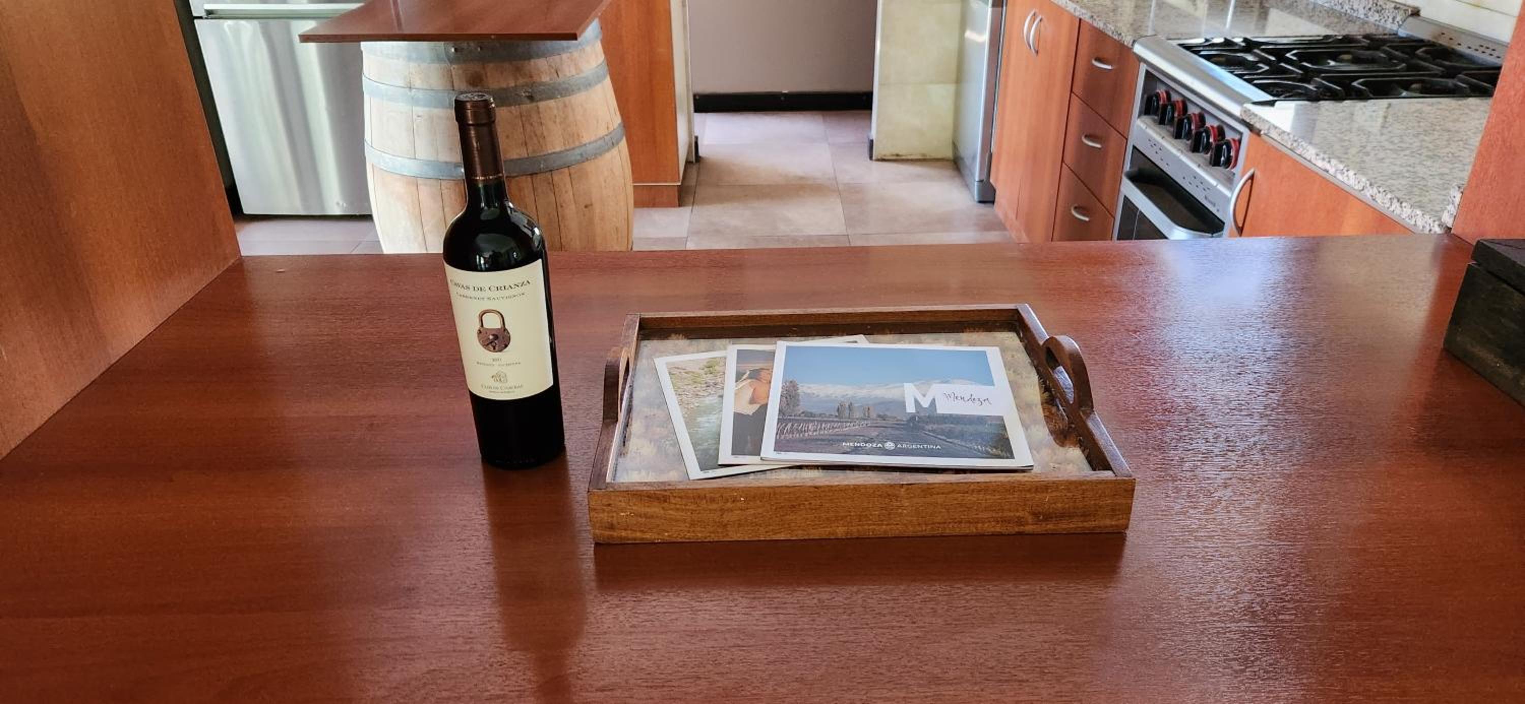 Hermosa casa con pileta en zona de viñedos