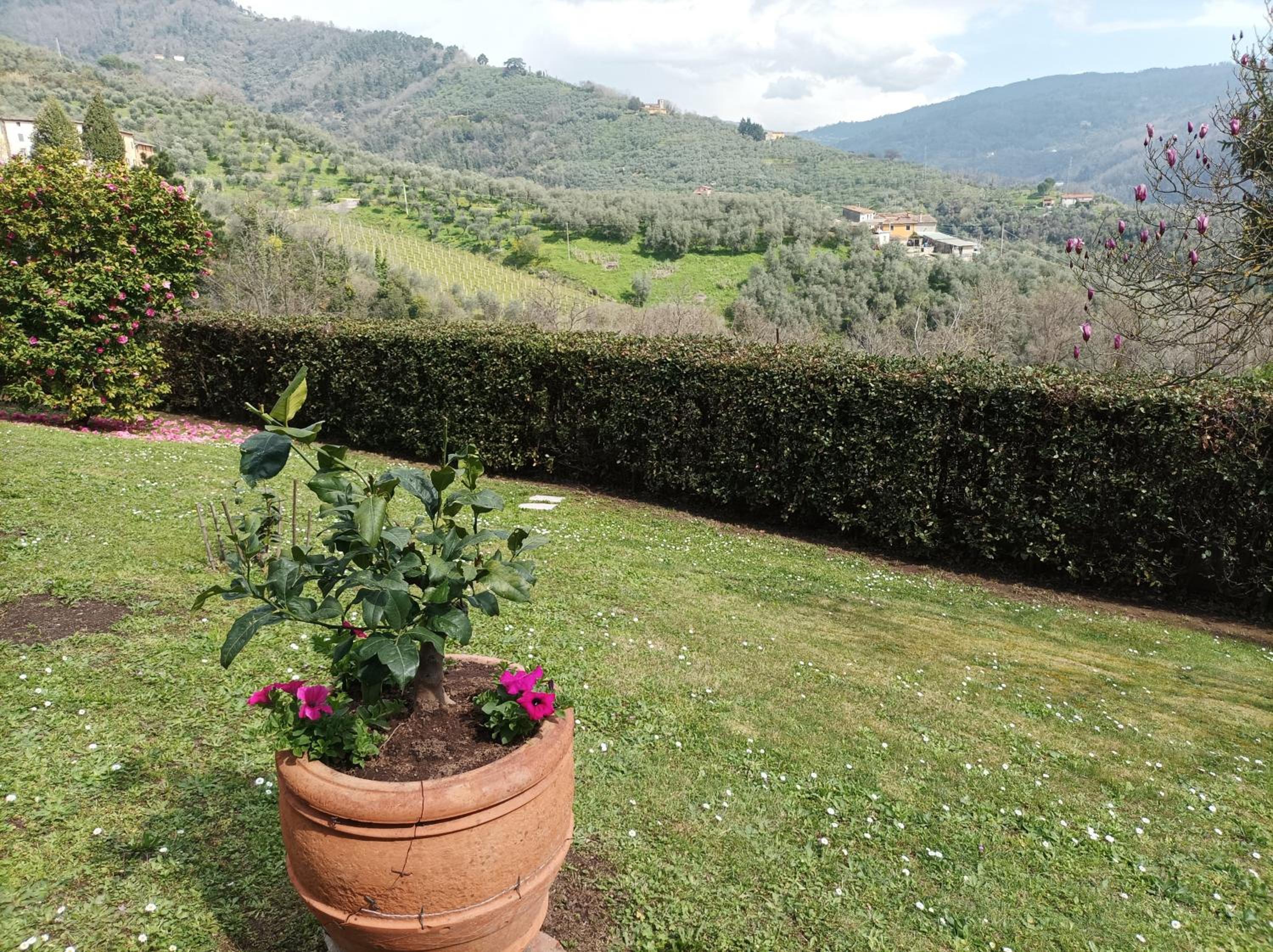 Villa Camelia Tuscany