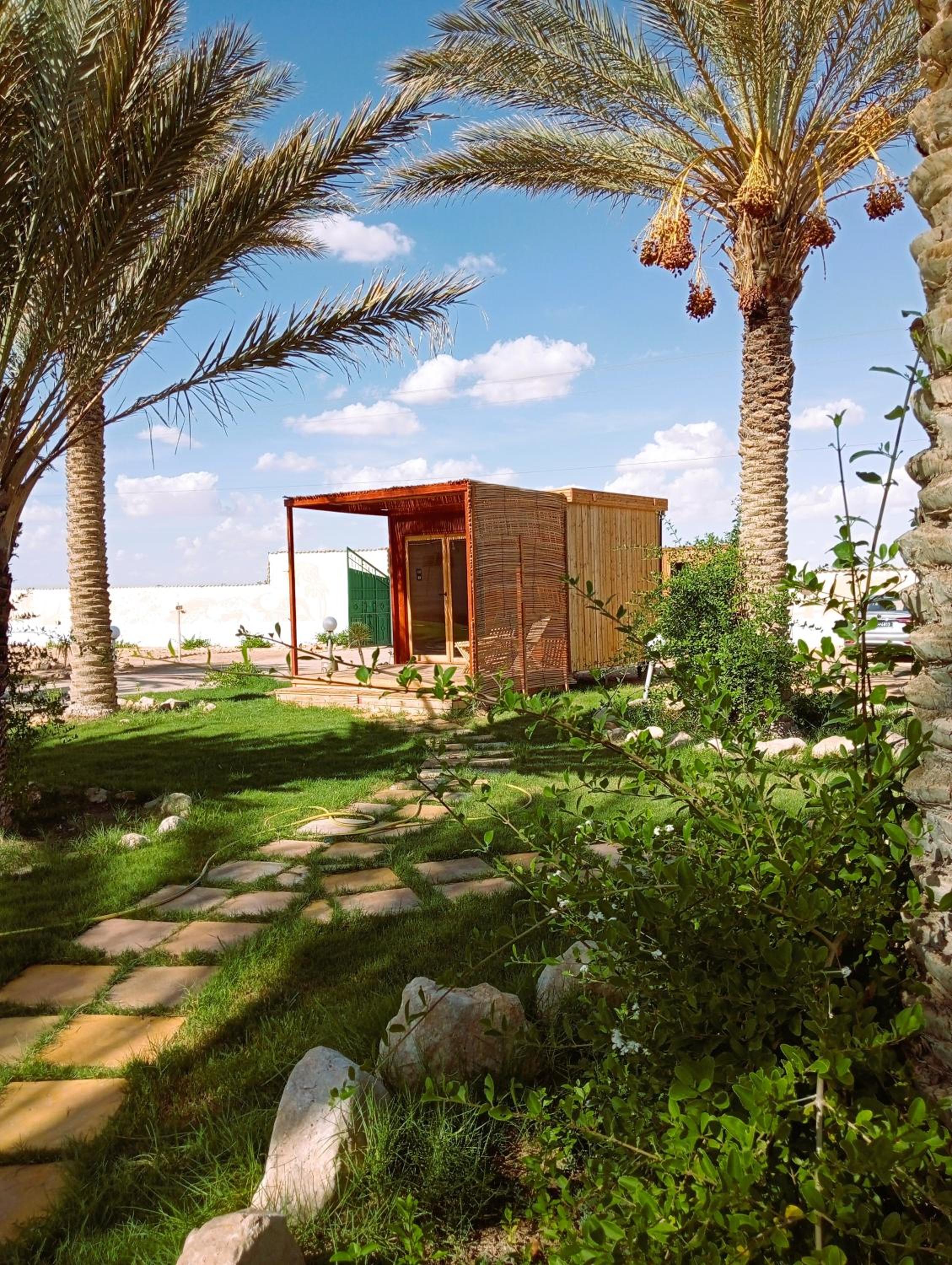 Garden12 Outdoor & More