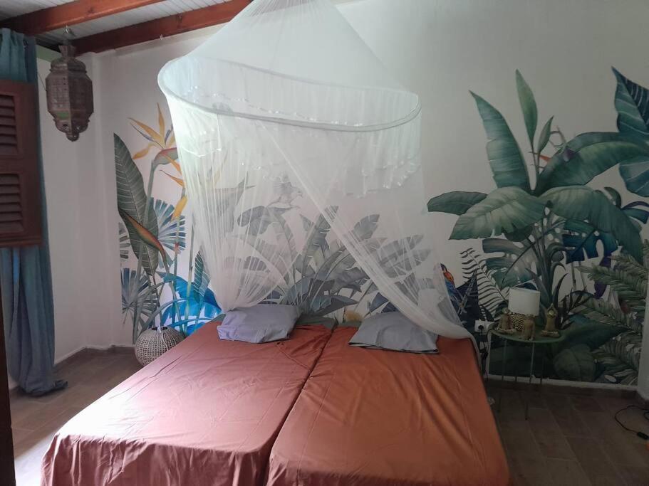Habitation Madame Rosalie