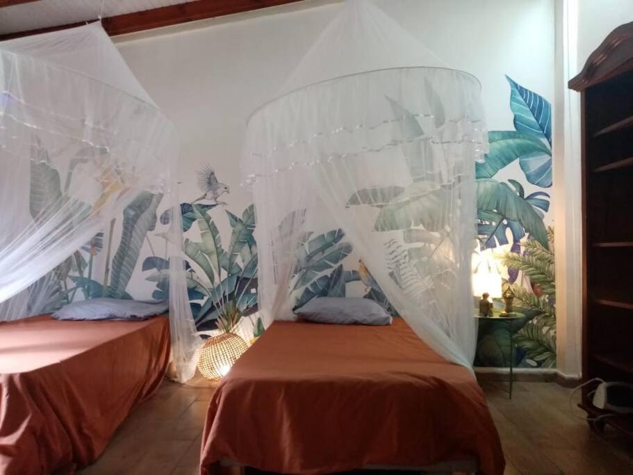 Habitation Madame Rosalie