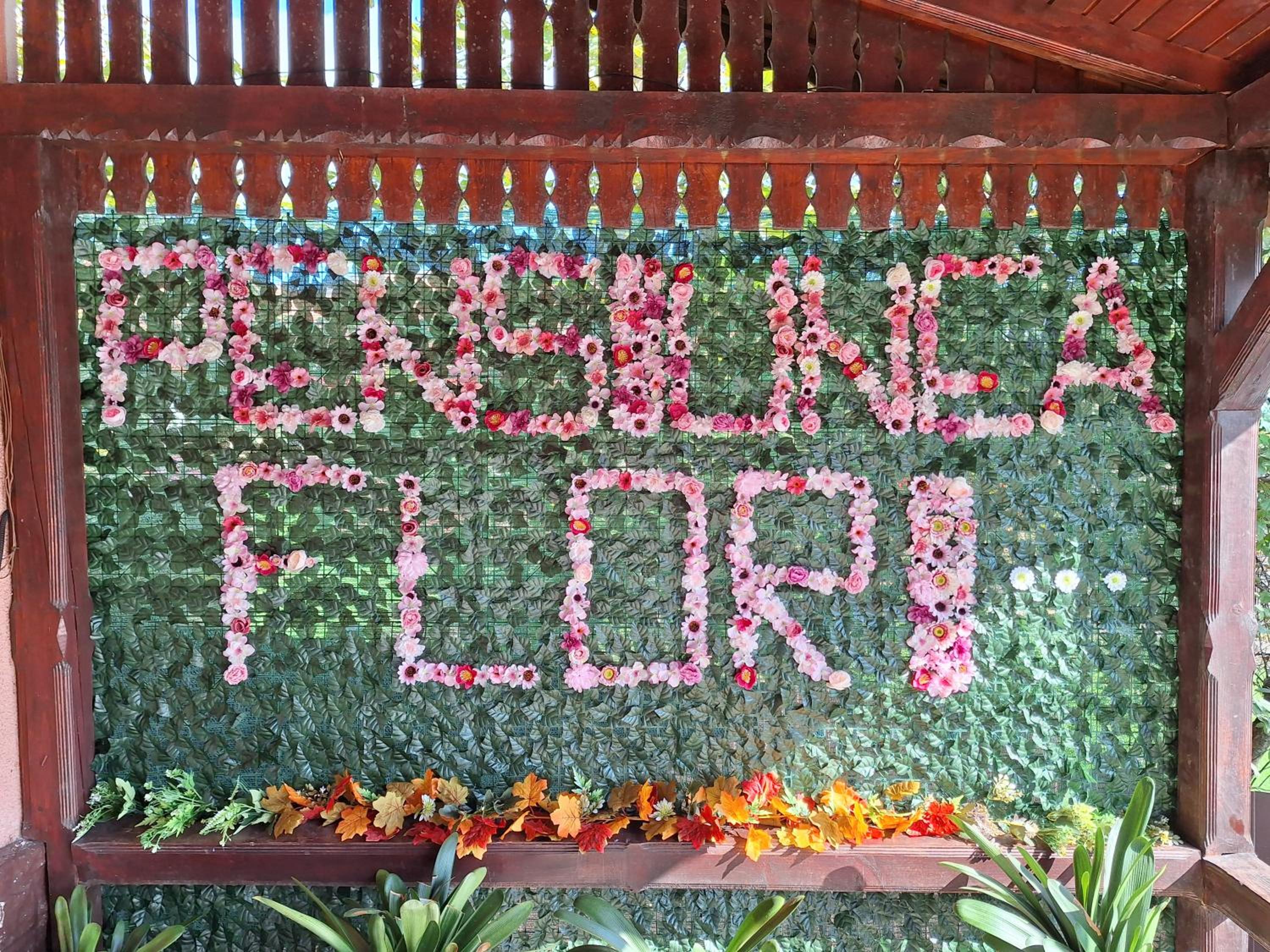 Pensiunea Flori
