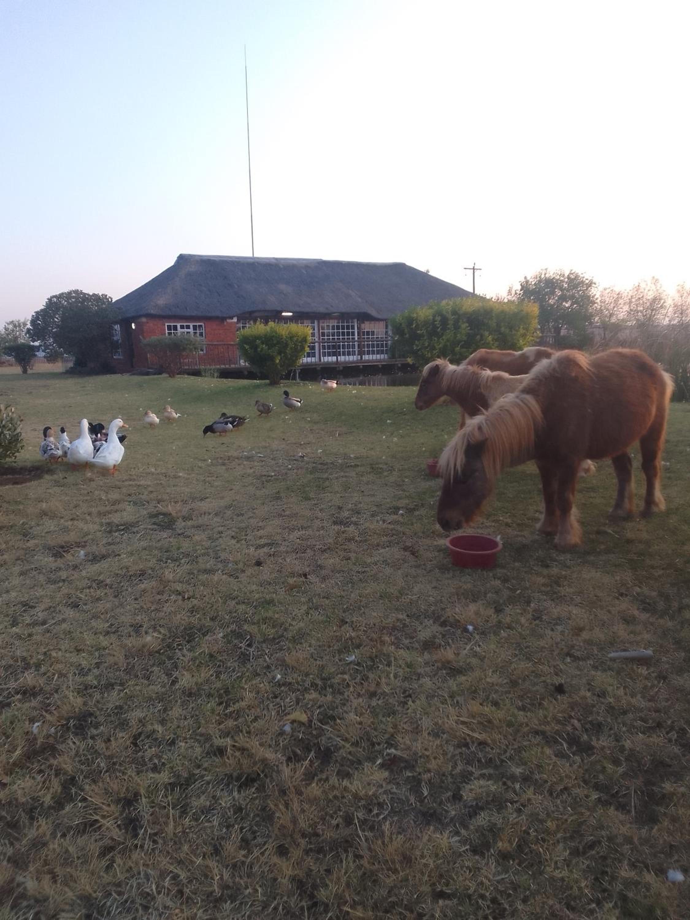 The Gaia House Magaliesburg view 4