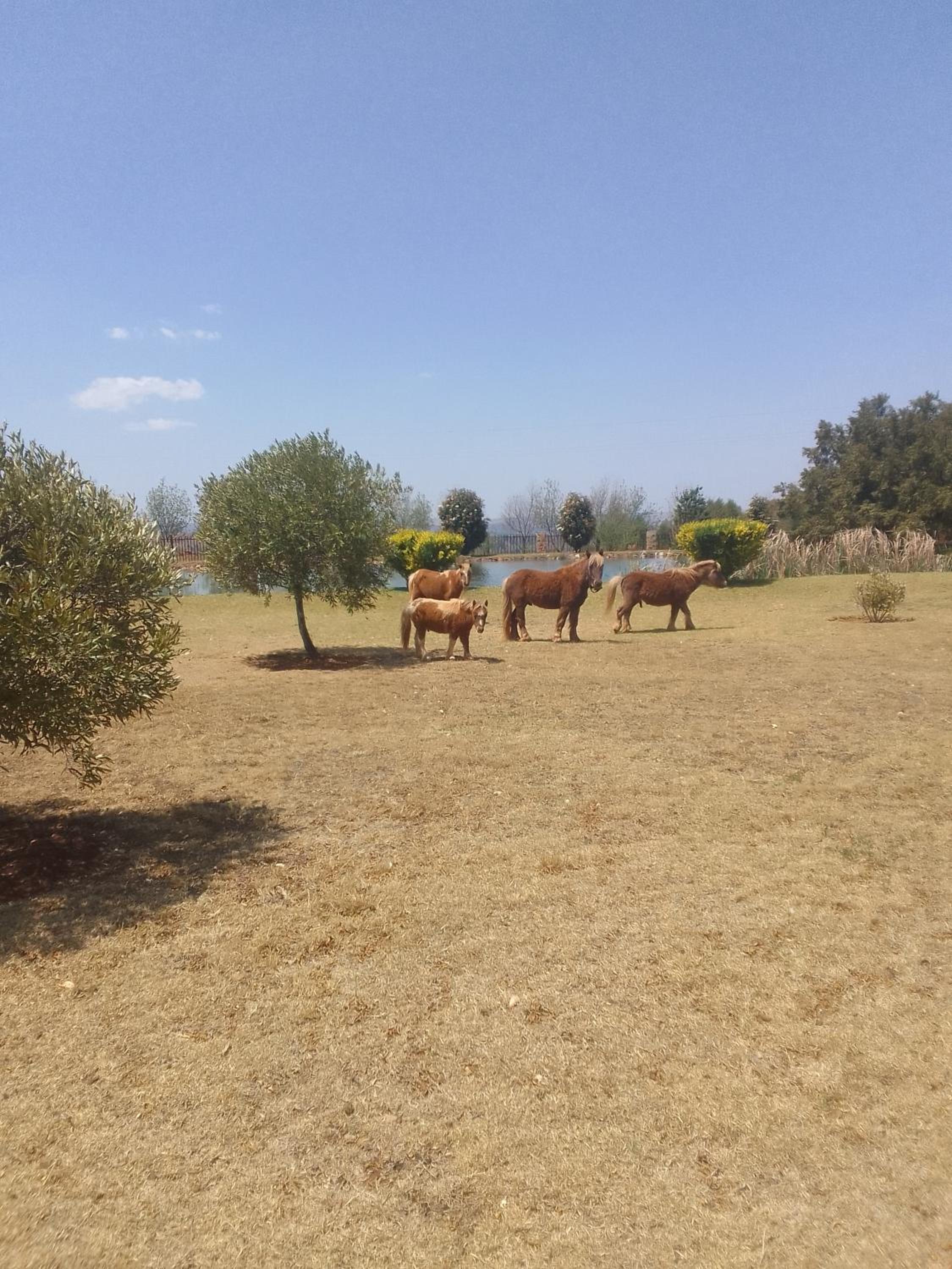 The Gaia House Magaliesburg view 3