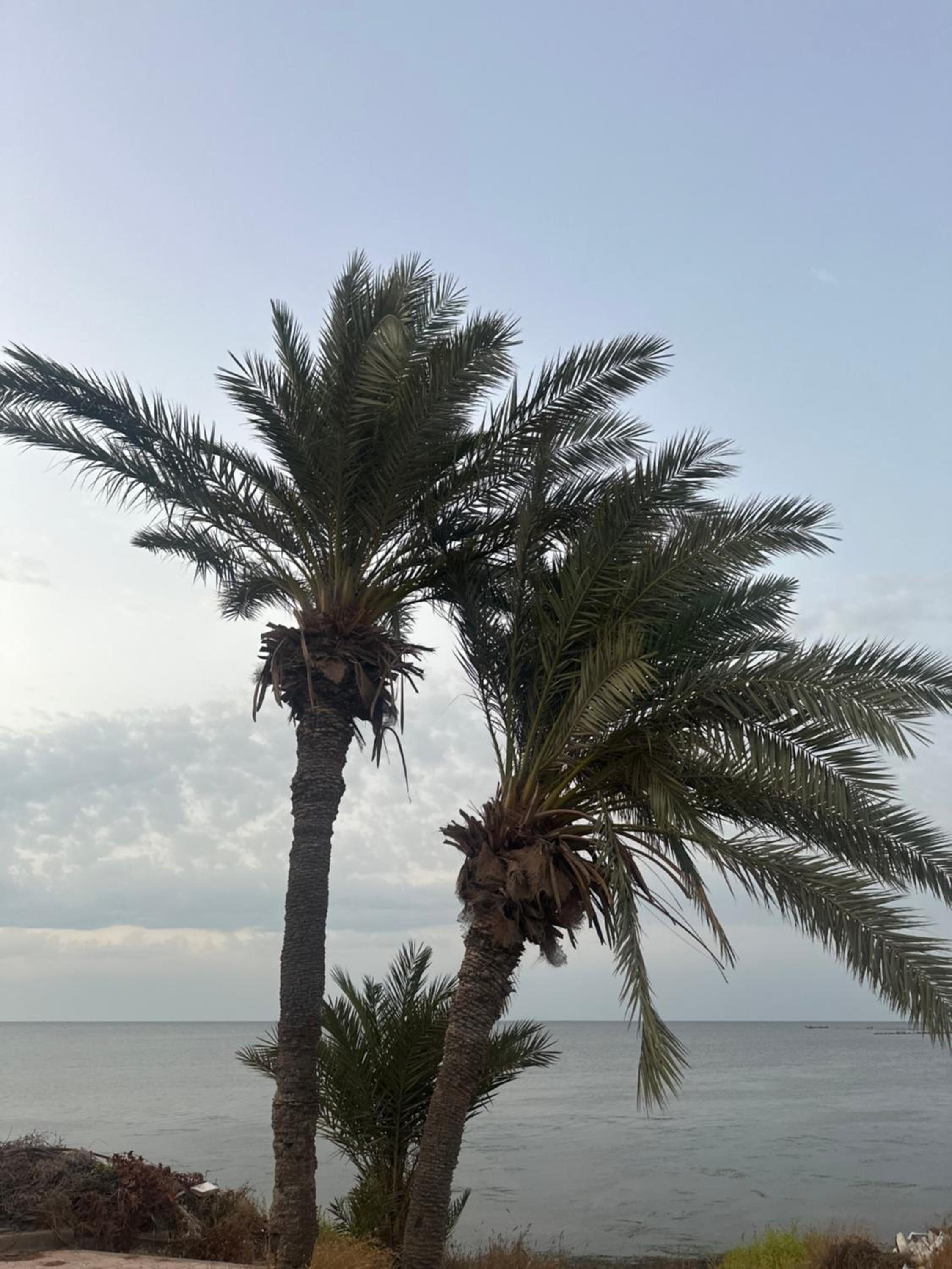 Villa Amara view 3