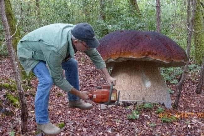 Casavacanze tarke