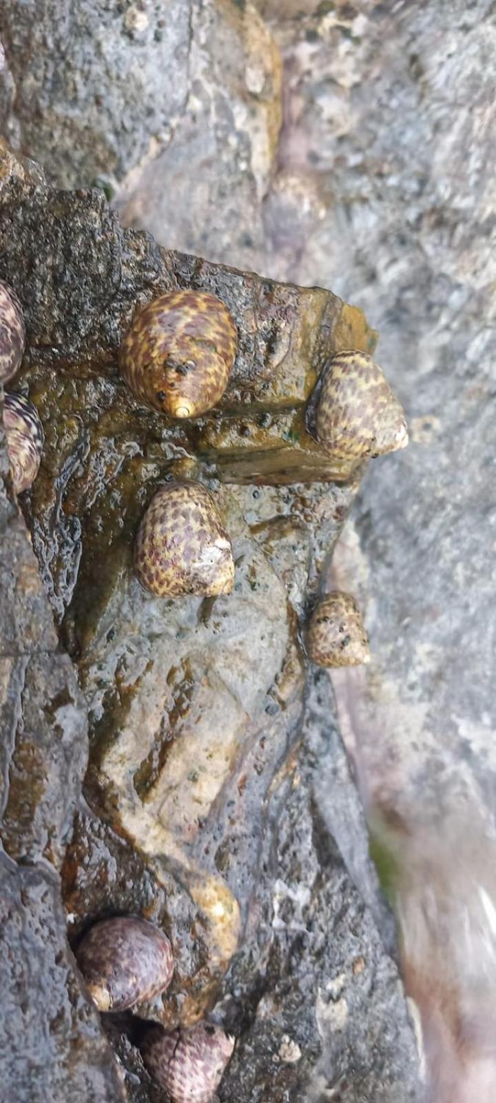 Casavacanze tarke