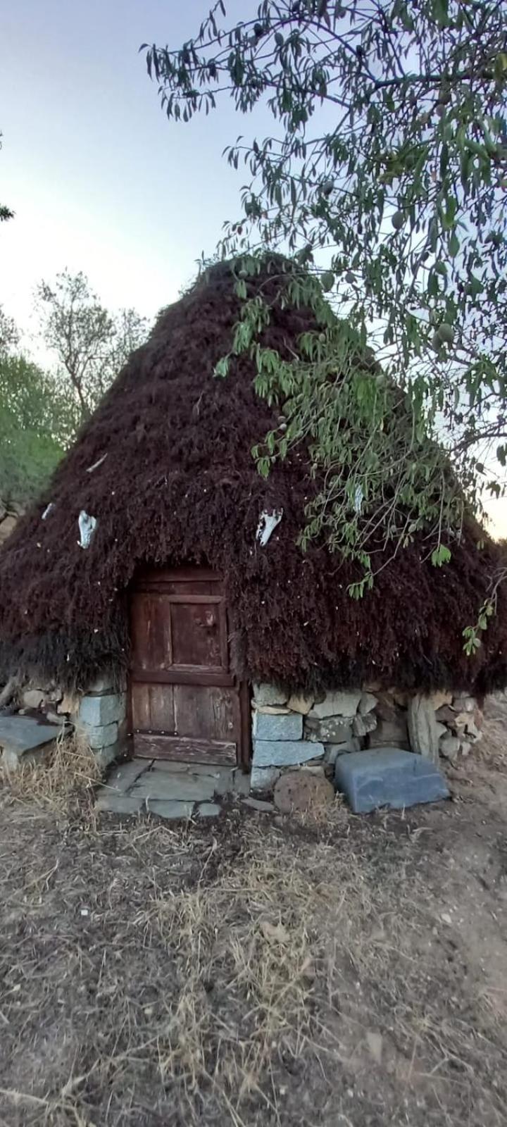 Casavacanze tarke