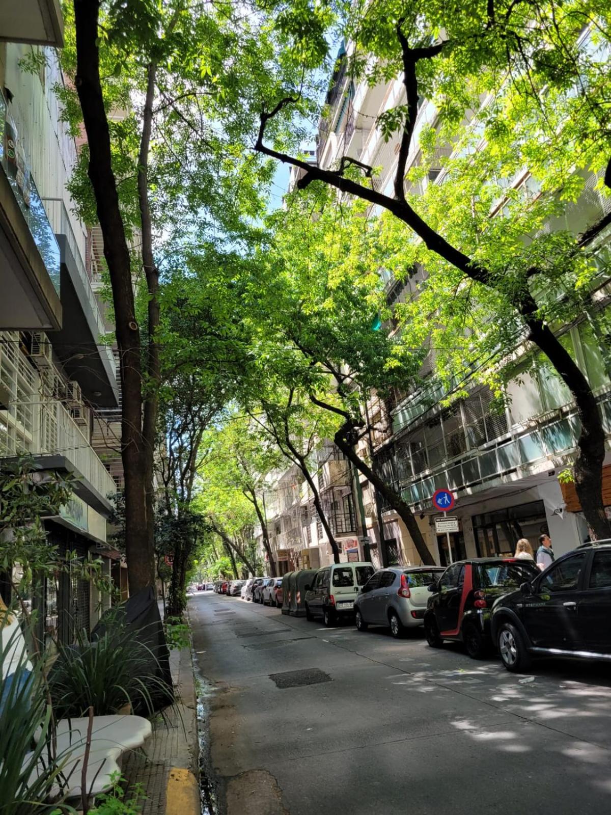 Las Cañitas departamento hasta 3p