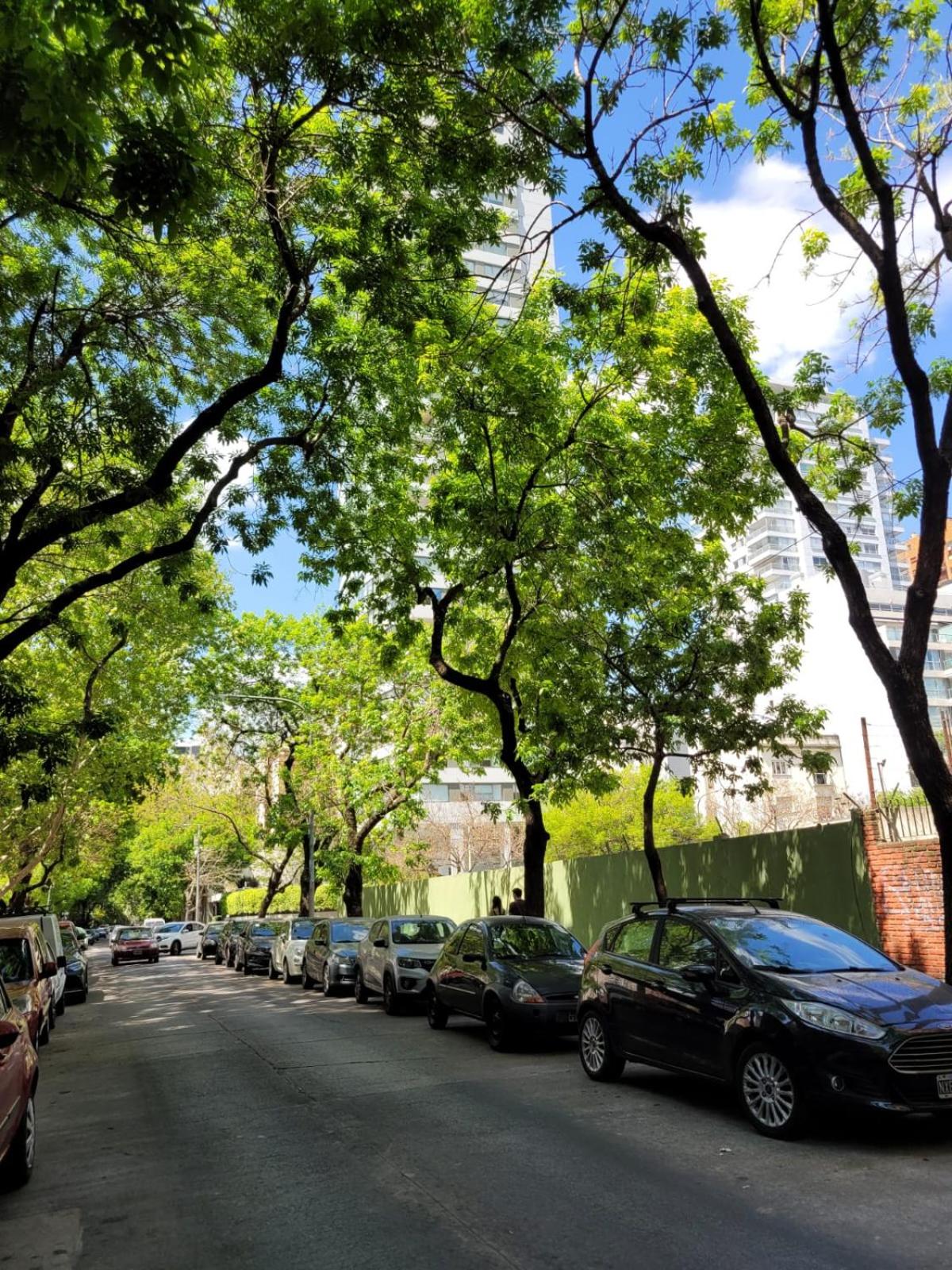 Las Cañitas departamento hasta 3p