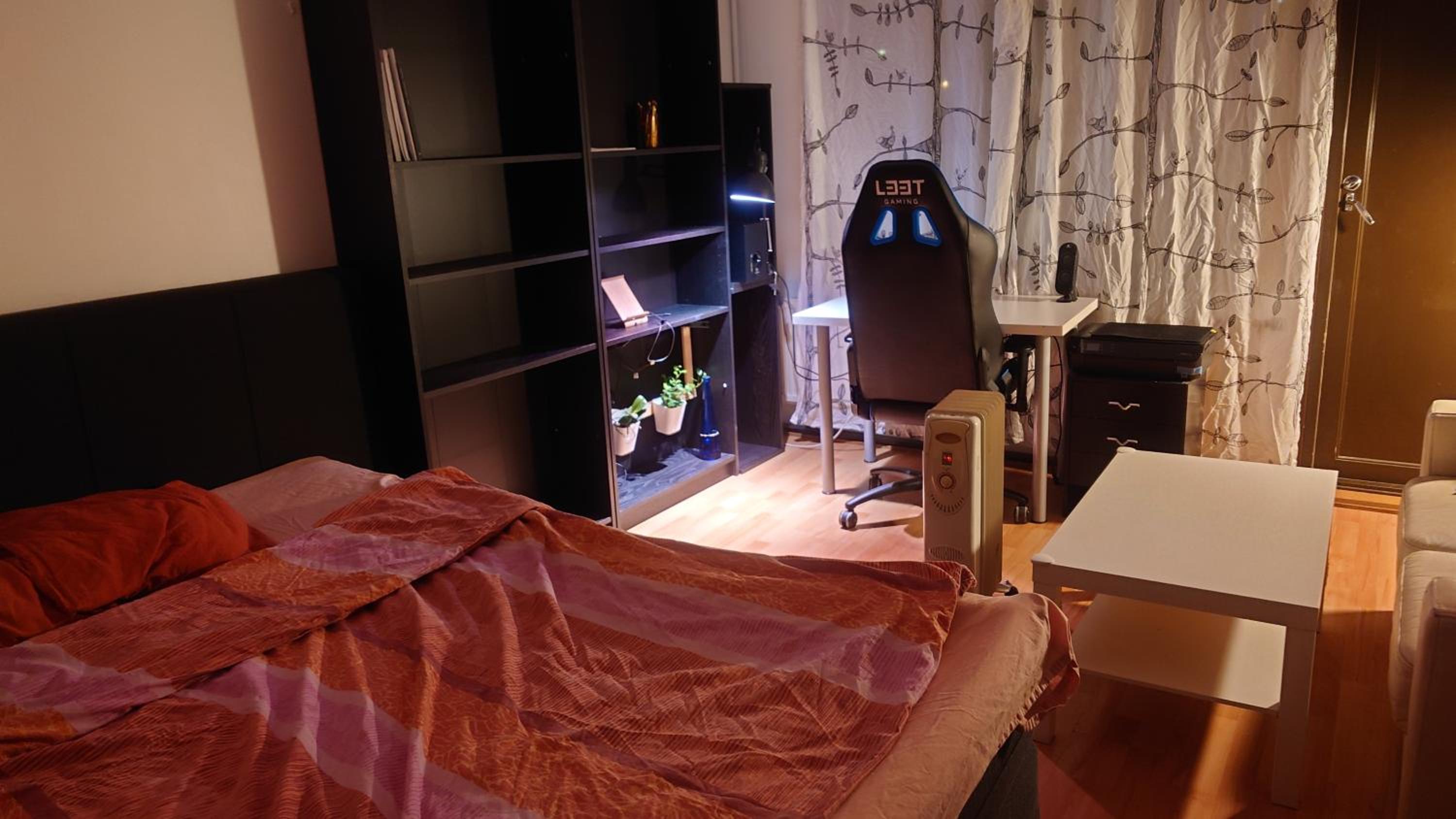 Entire cozy apartment just for you
