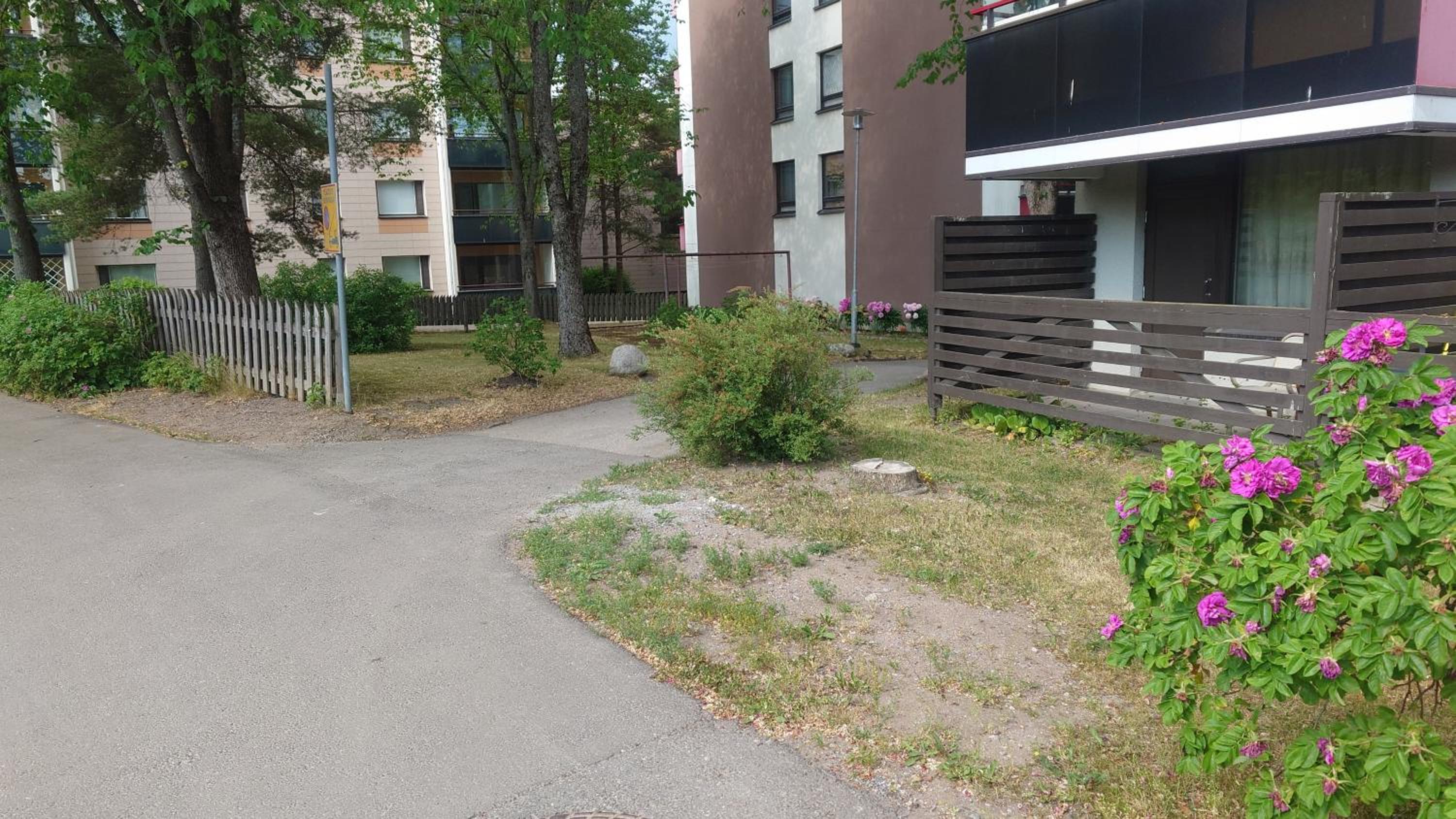 Entire cozy apartment just for you