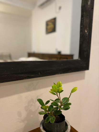 Rehabsocial