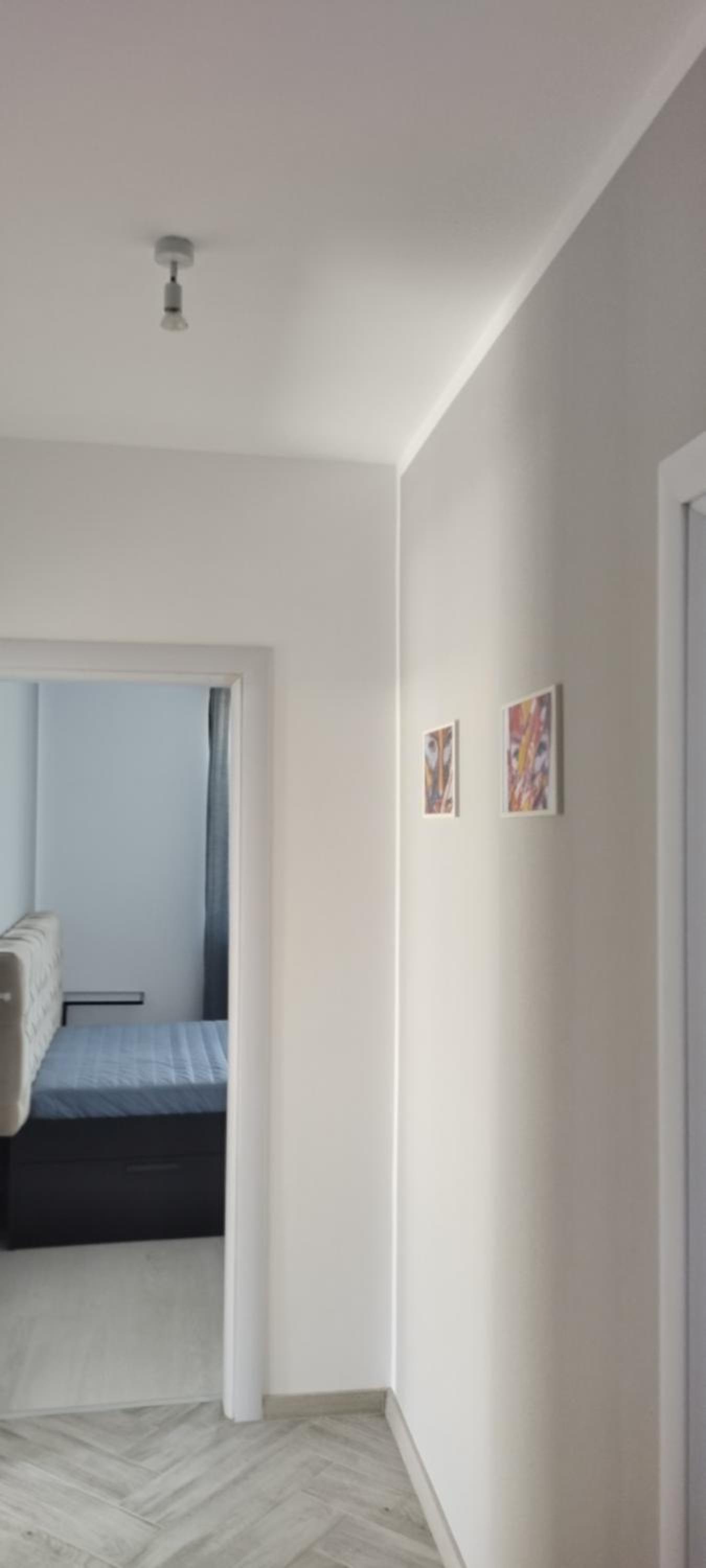O pulse Sofia apartment