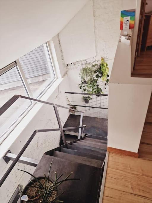 Lightful architectural house