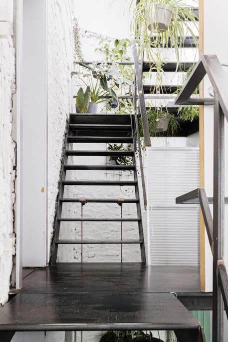 Lightful architectural house