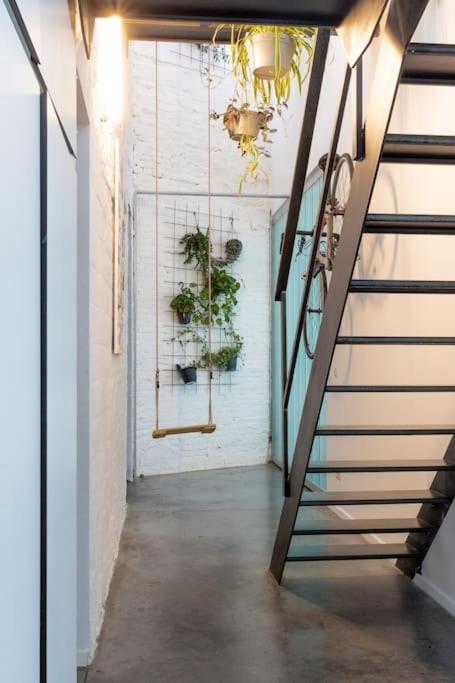 Lightful architectural house
