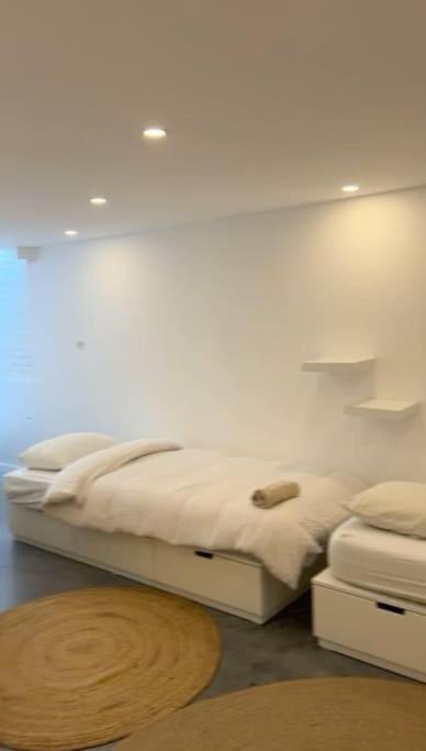 Lightful architectural house