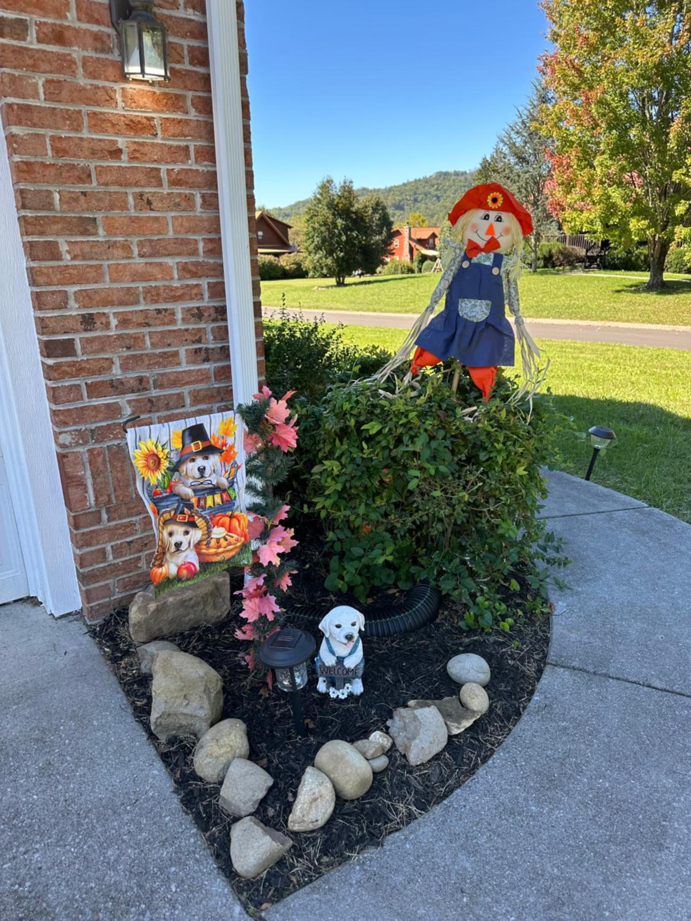 Bears Valley Inn -Peaceful, Pet Friendly Family Getaway, Less than 15 min to Attractions, with Game Room, Fire Pit & BBQ, Easy, Flat Roads view 3