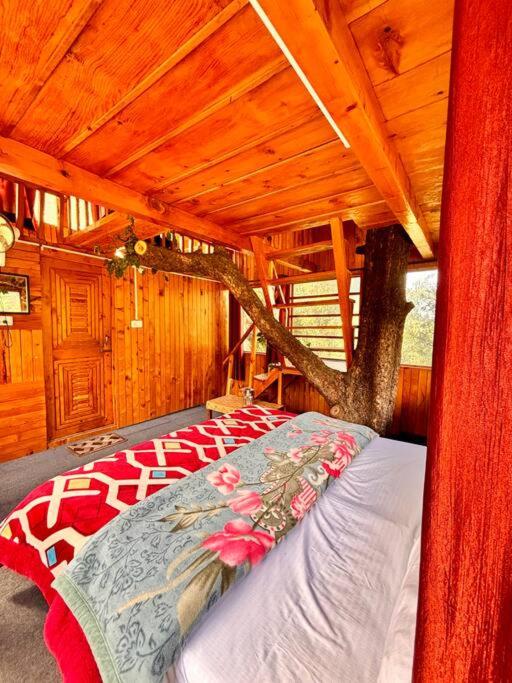 HimalayanTradition Treehouse