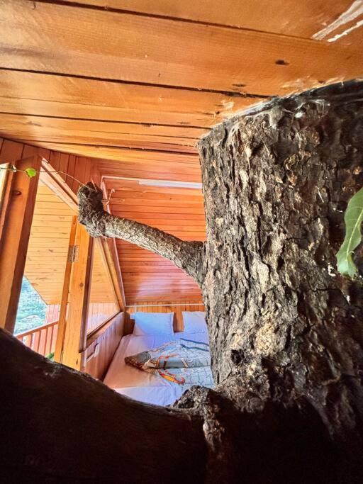 HimalayanTradition Treehouse