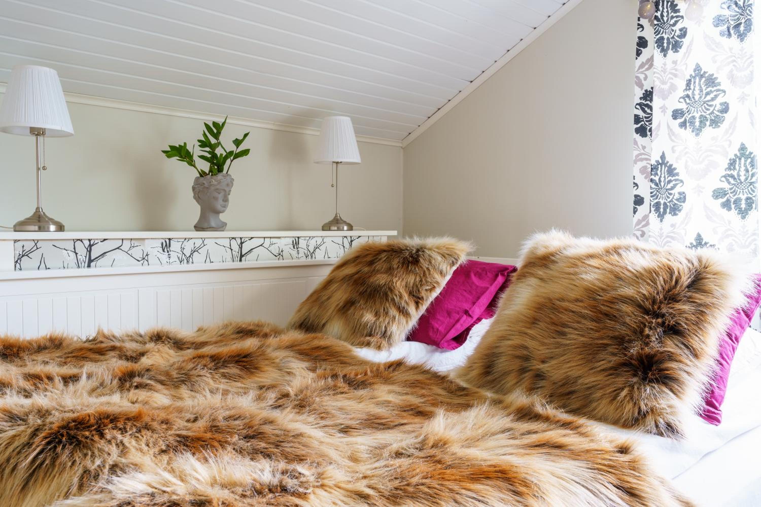 Arctic Bohemian Villa