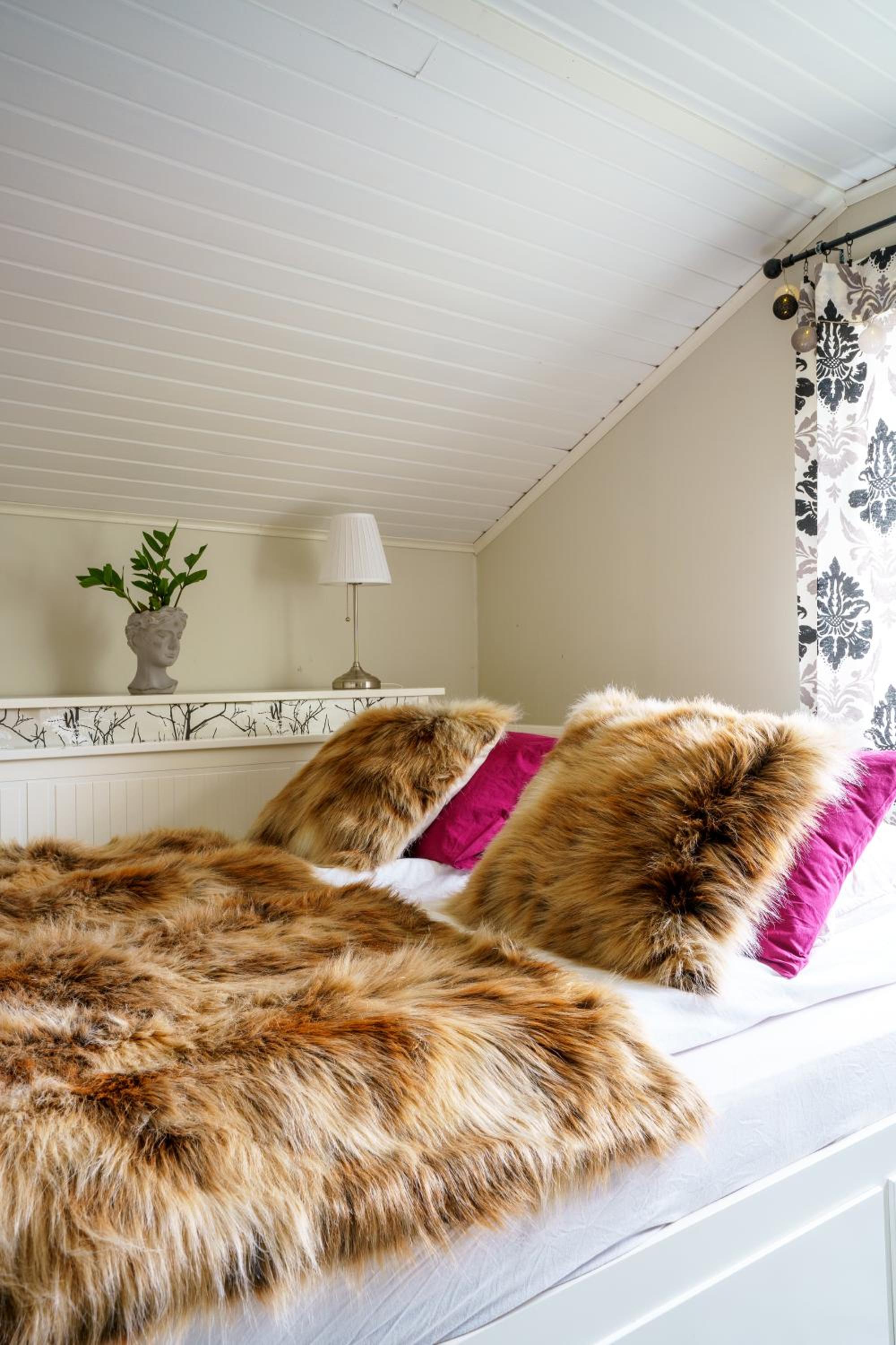 Arctic Bohemian Villa