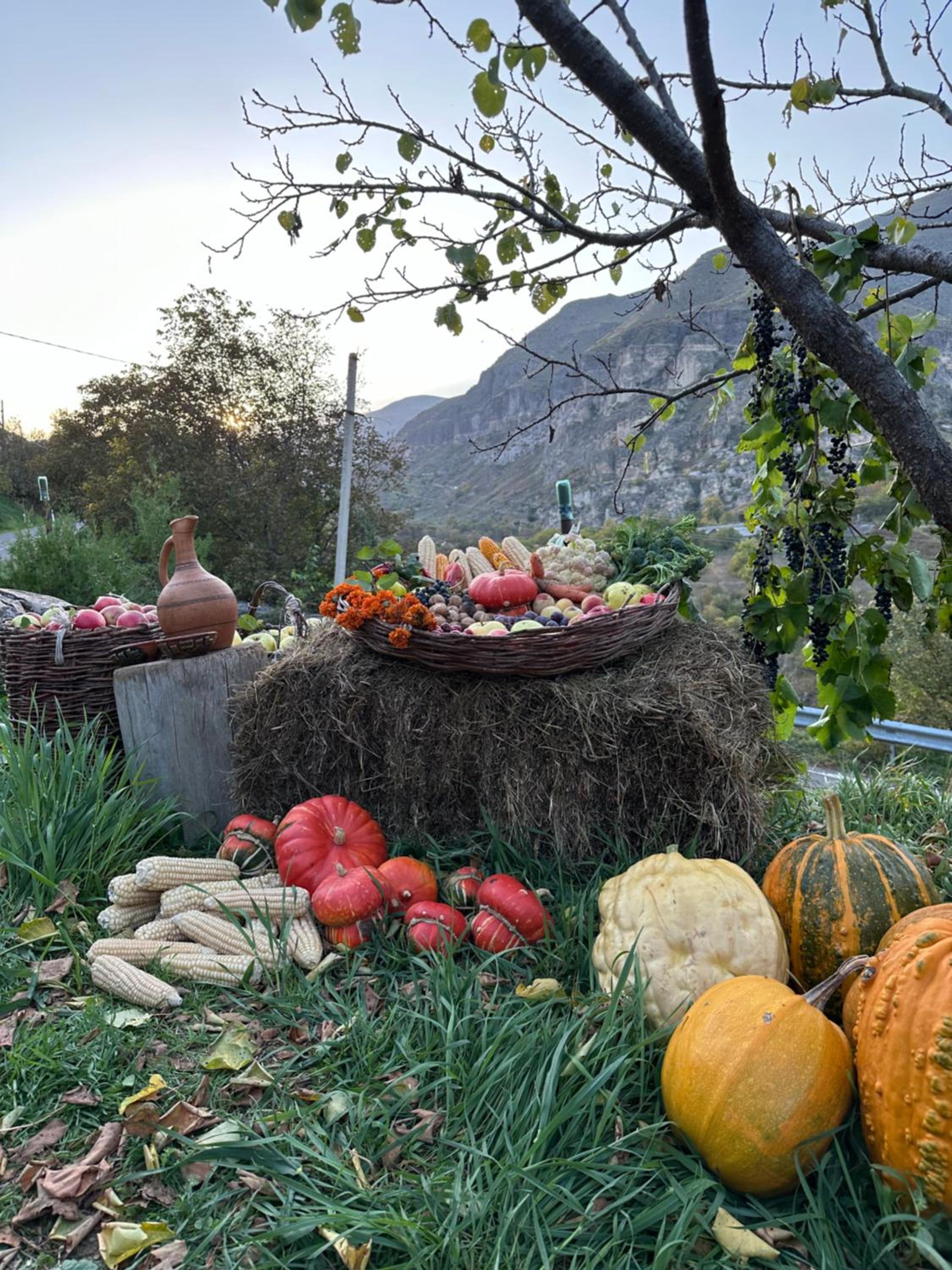 Hotel-GVALA view 2