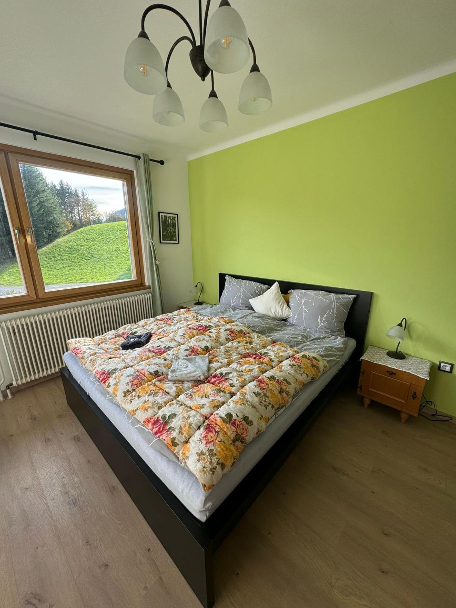 Haus Alpenland view 4