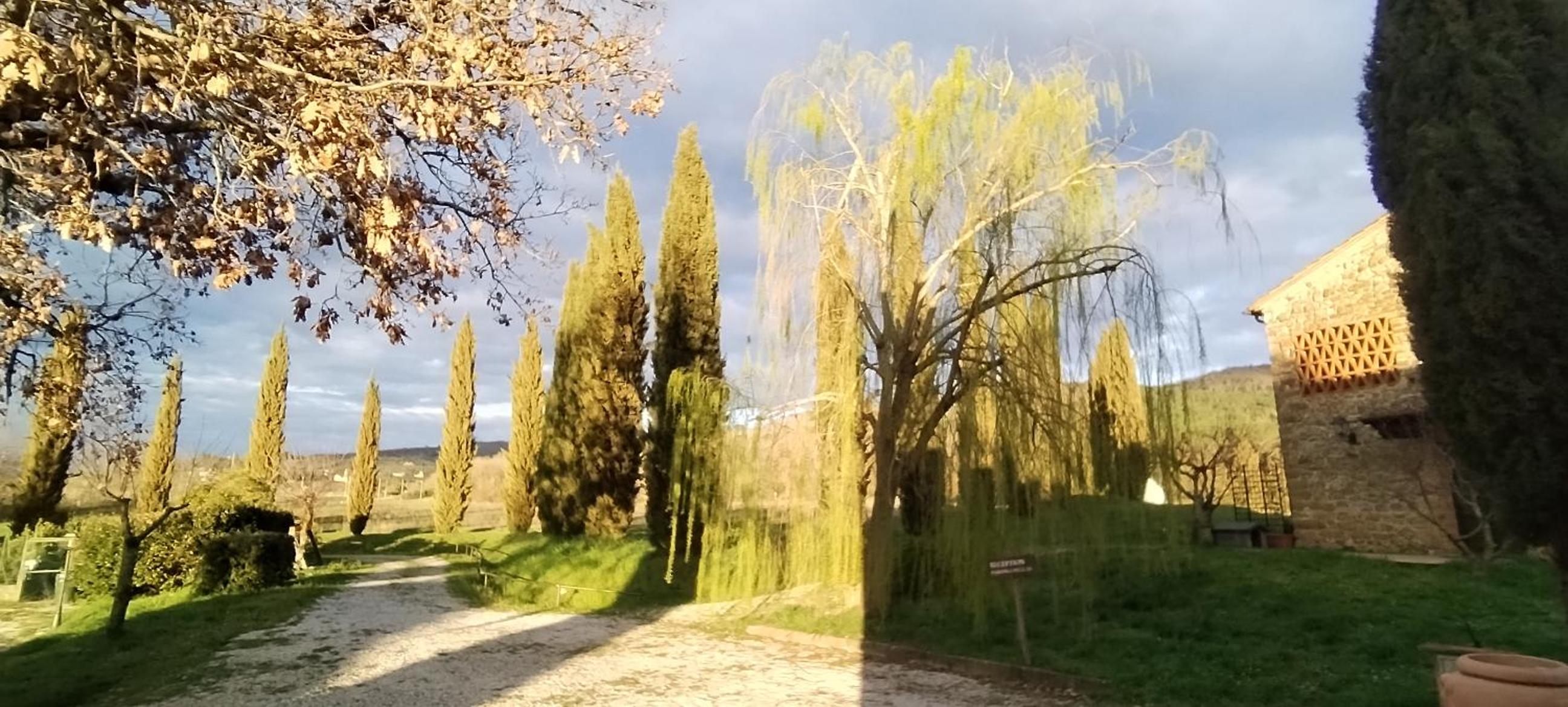 I Salici Agriturismo