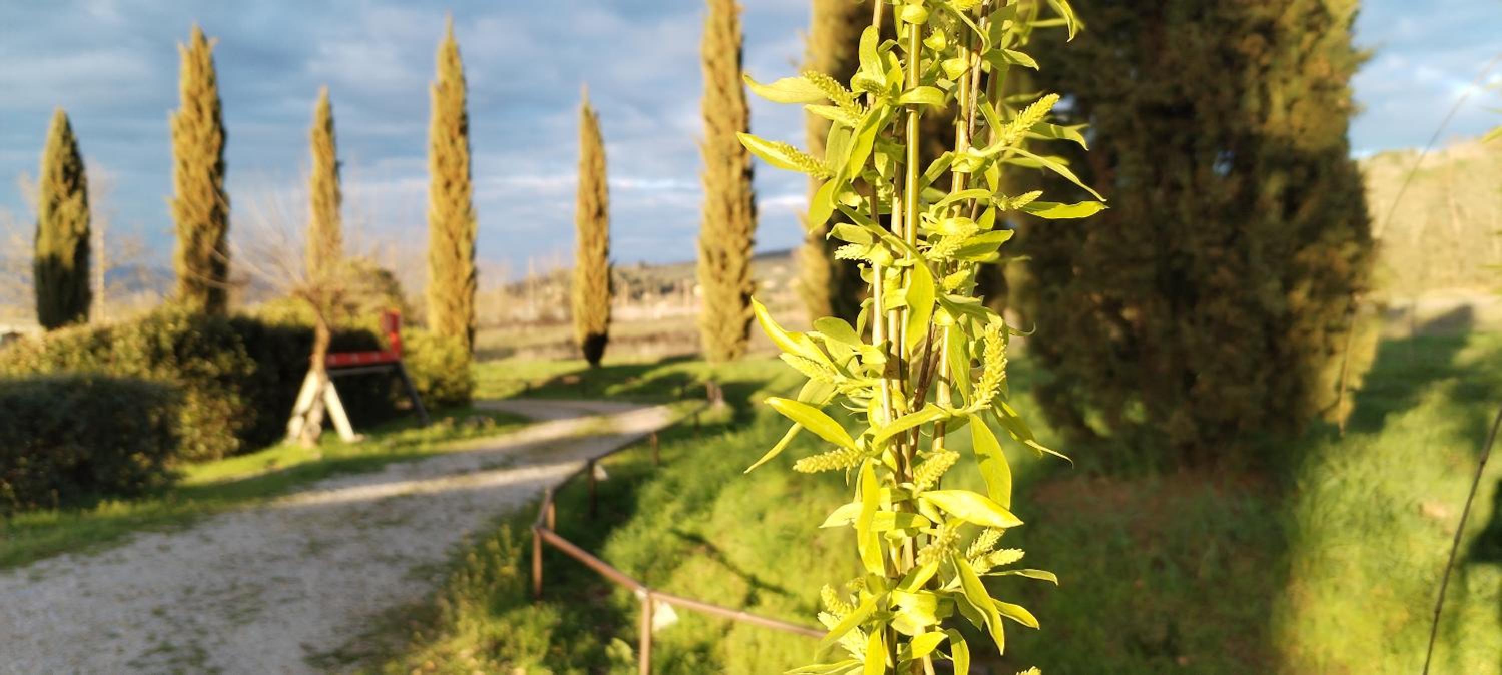 I Salici Agriturismo