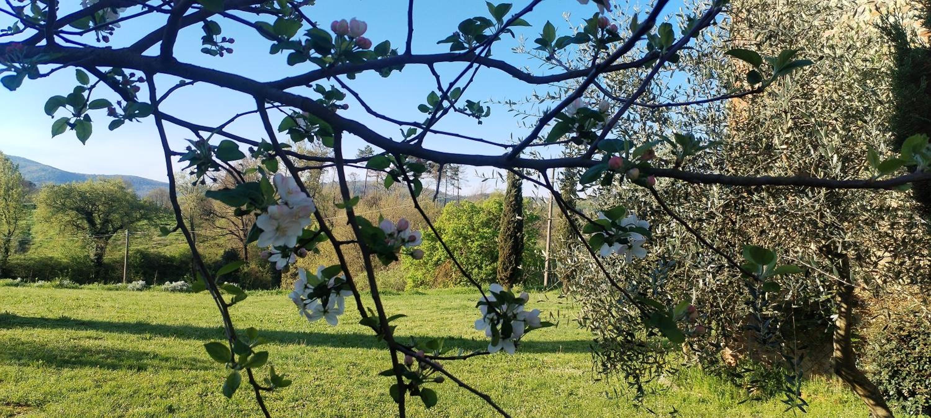 I Salici Agriturismo