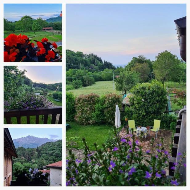 B&B Alla Borgata