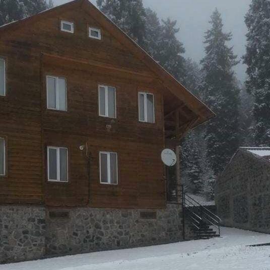 Holiday Bakuriani 7 bedroom cottage view 4