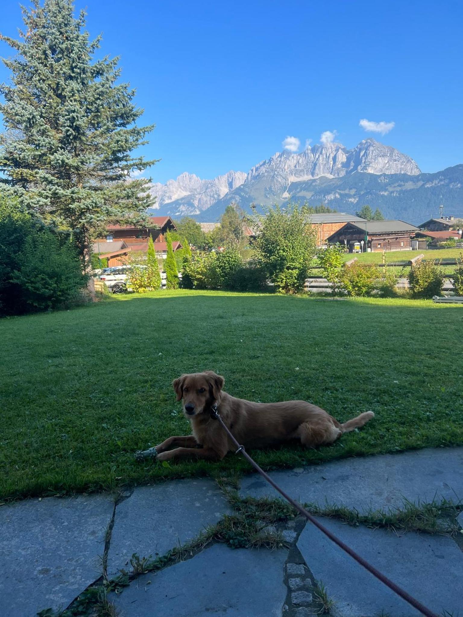 Kaiserblick by Tirol Estate