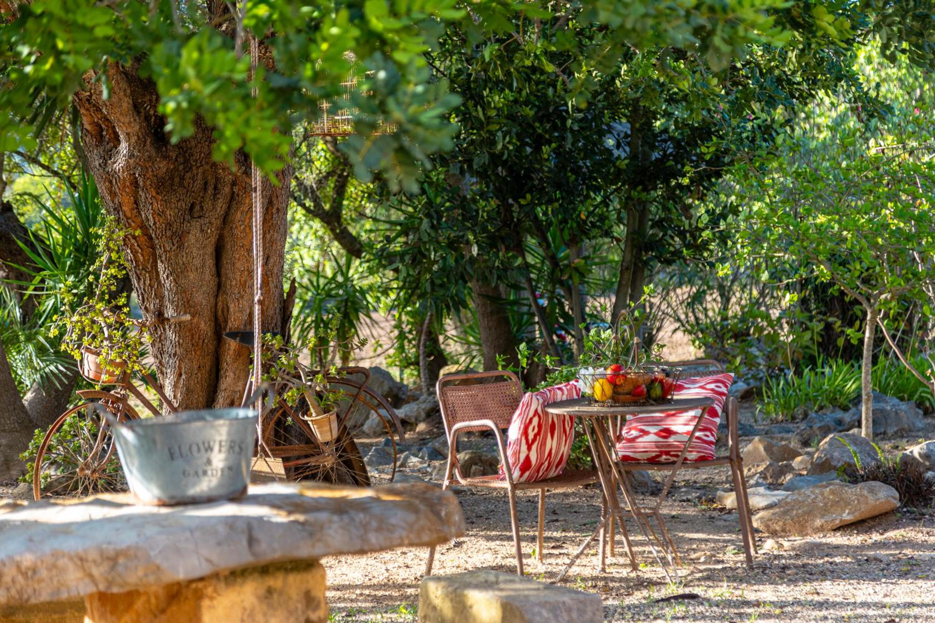 Finca Son Barbot by homevillas360 view 5