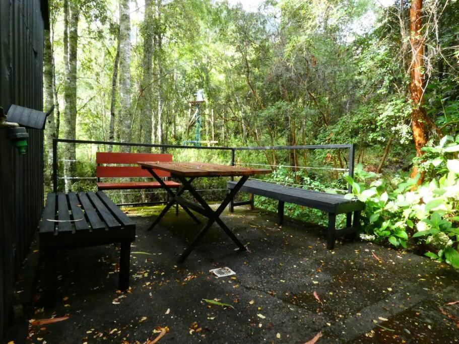 cabaña en la naturaleza