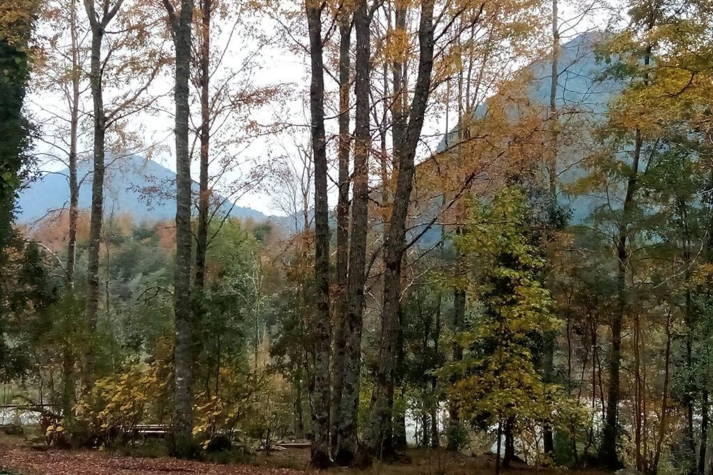 cabaña en la naturaleza