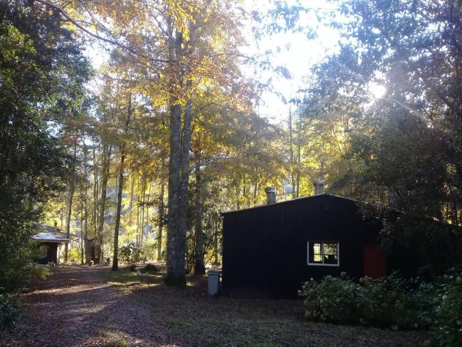 cabaña en la naturaleza